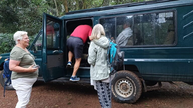 Land Cruiser Extended 7 Seater 80 series