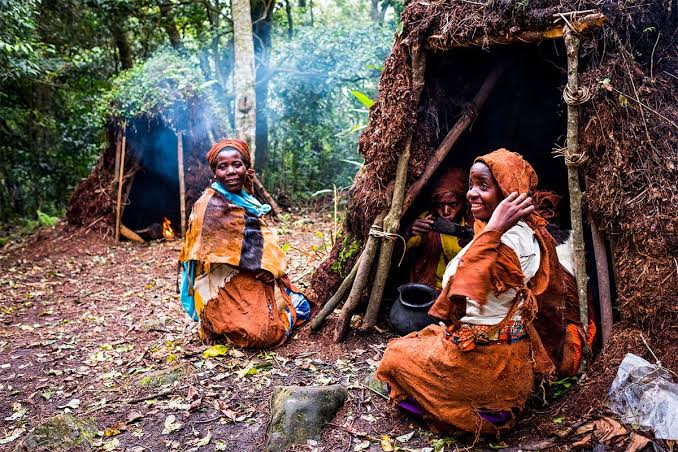 Gorilla Trekking and Batwa Cultural Experience