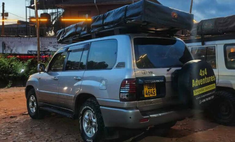 Land Cruiser V8 100 Series With Camping Equipment & Rooftop Tent