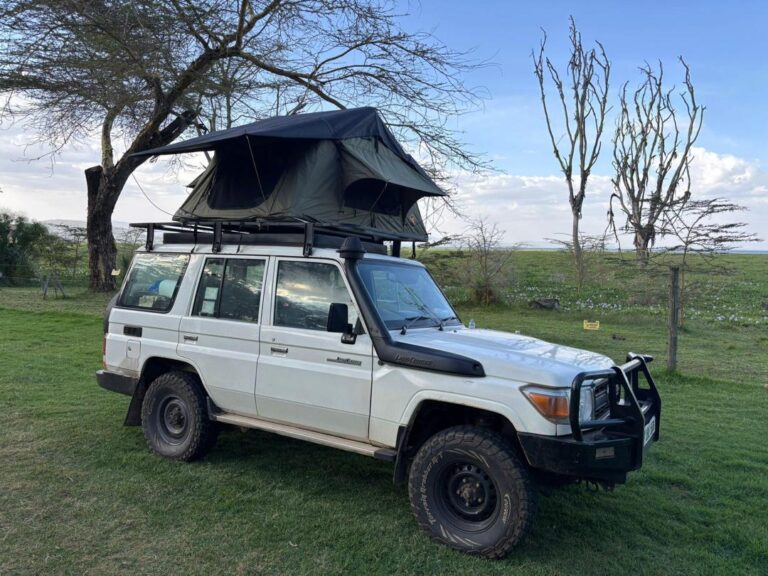 Land Druiser 76 Series with Rooftop Tent