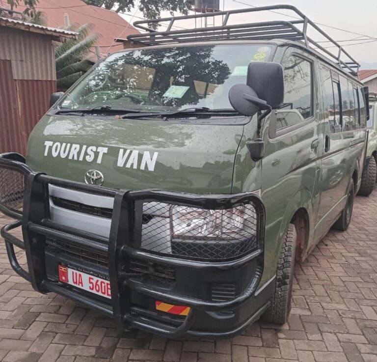Toyota Minivan HiaAce