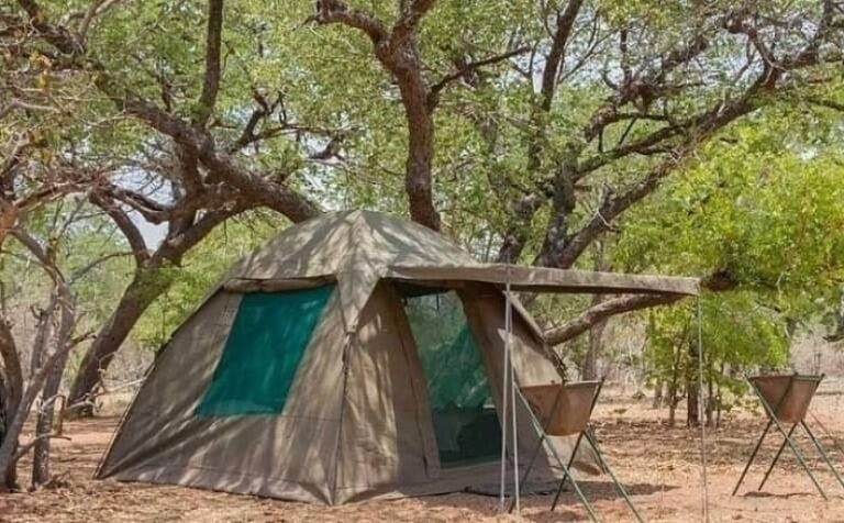 Ground tents on a safari allow to set once and move around with your vehicle