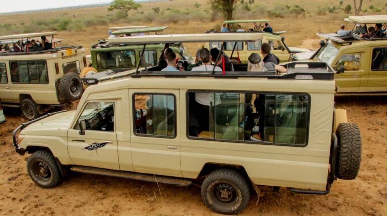Land Cruiser Extended with Pop-up Roof